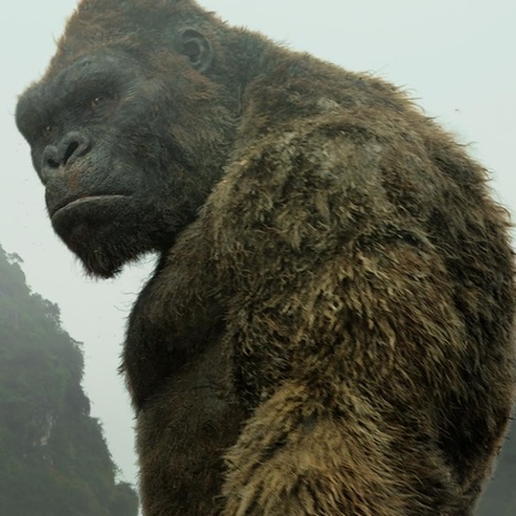 'Godzilla vs Kong' prequel comic book shares new look at adult Kong