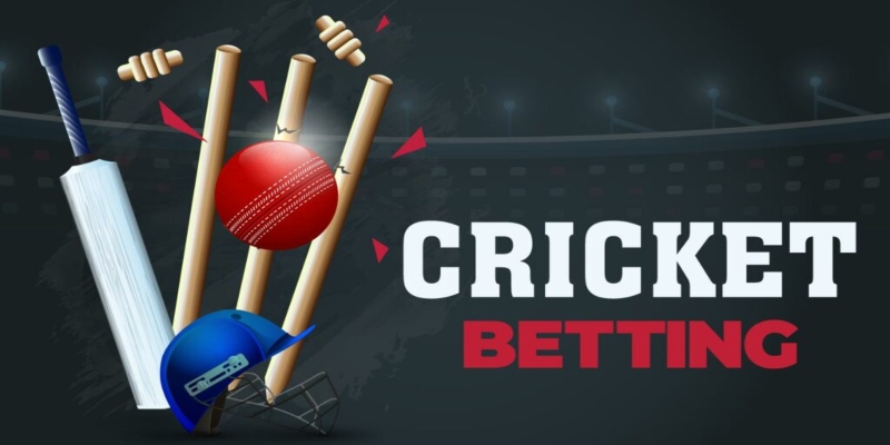 Top 10 Cricket Betting Apps for Android and iOS (December 2023)